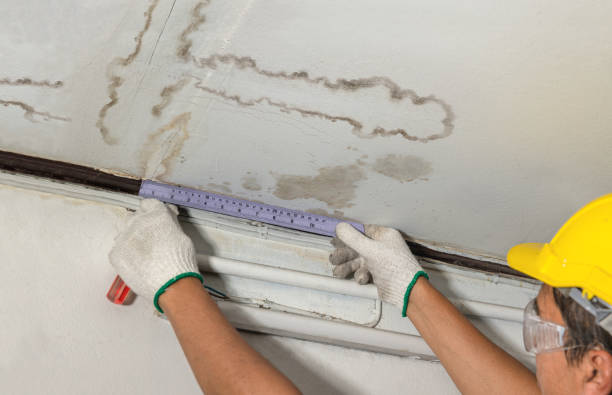 Reliable Water Damage contractor in Hill, NH by Water Damage Irwin